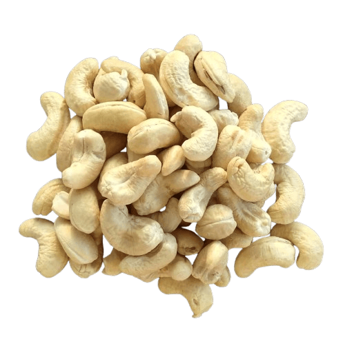Export-ready premium cashew kernels